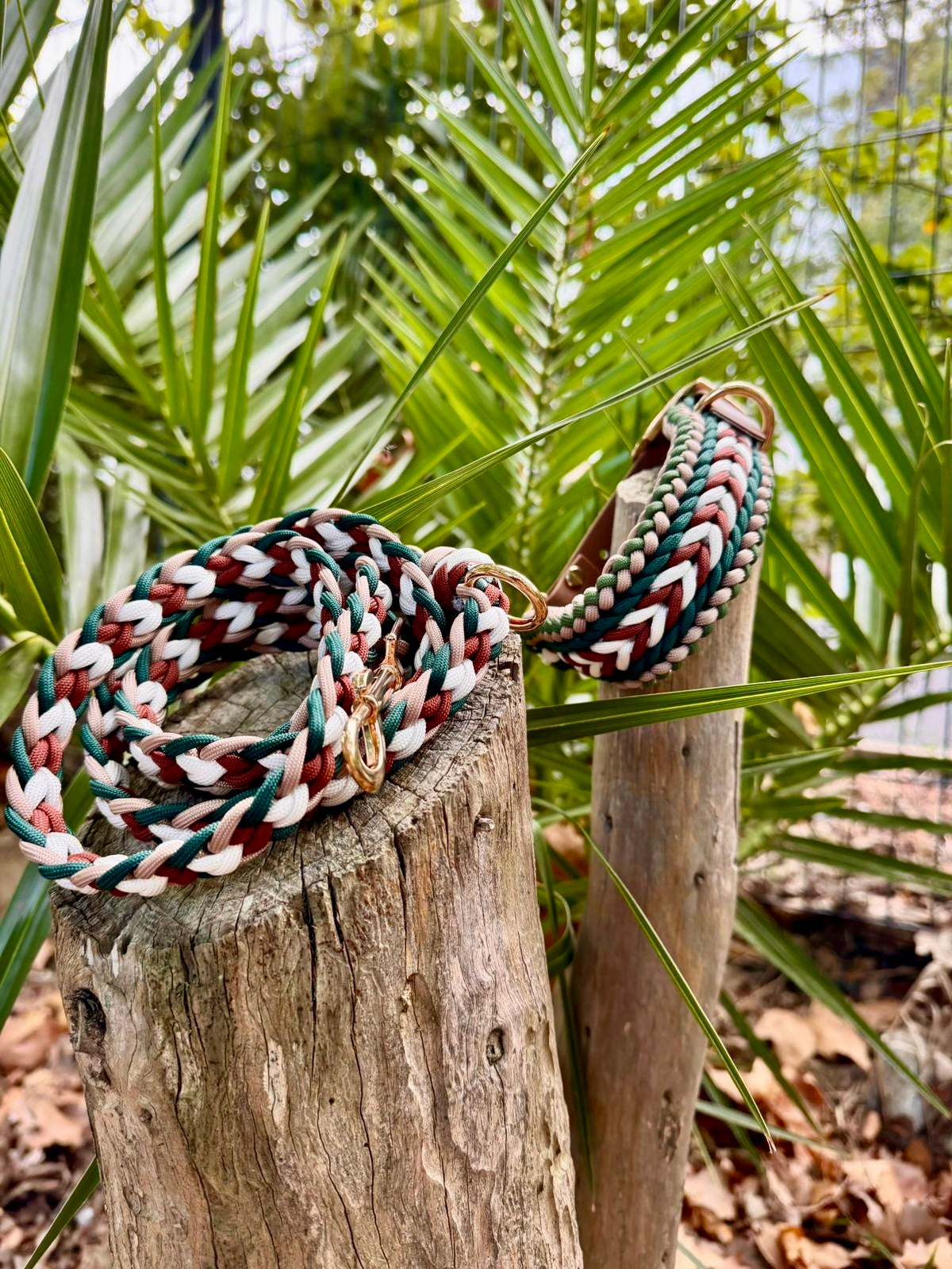 La laisse NOMAD