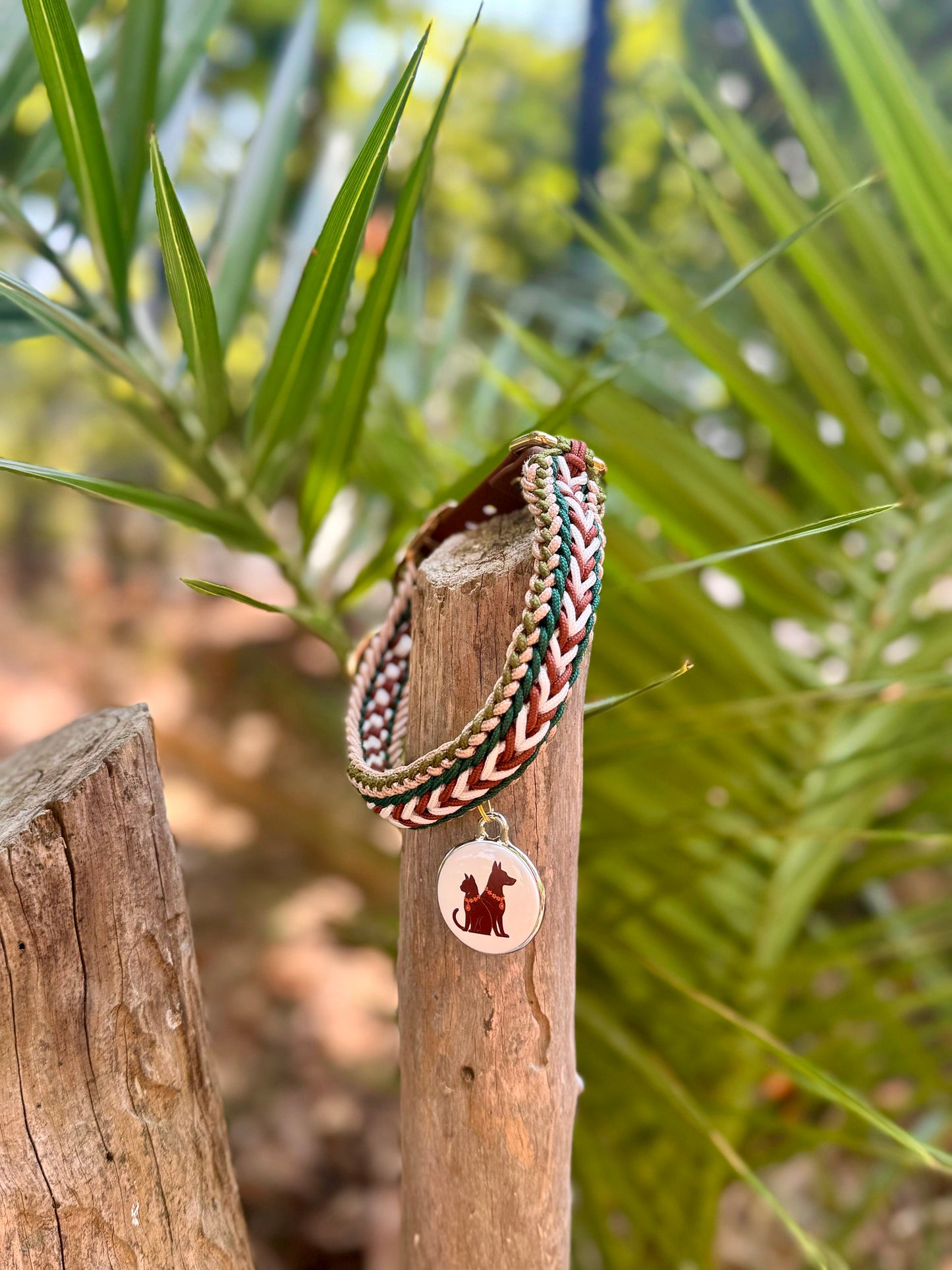 Le collier NOMAD MINI