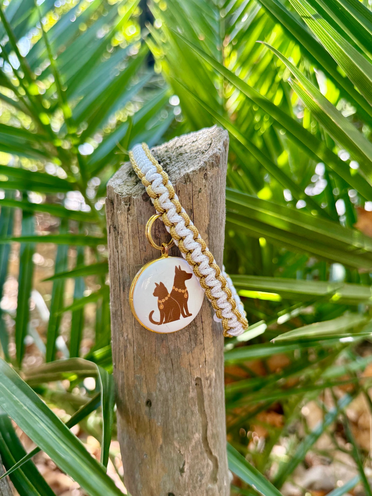 Le collier SIMBA