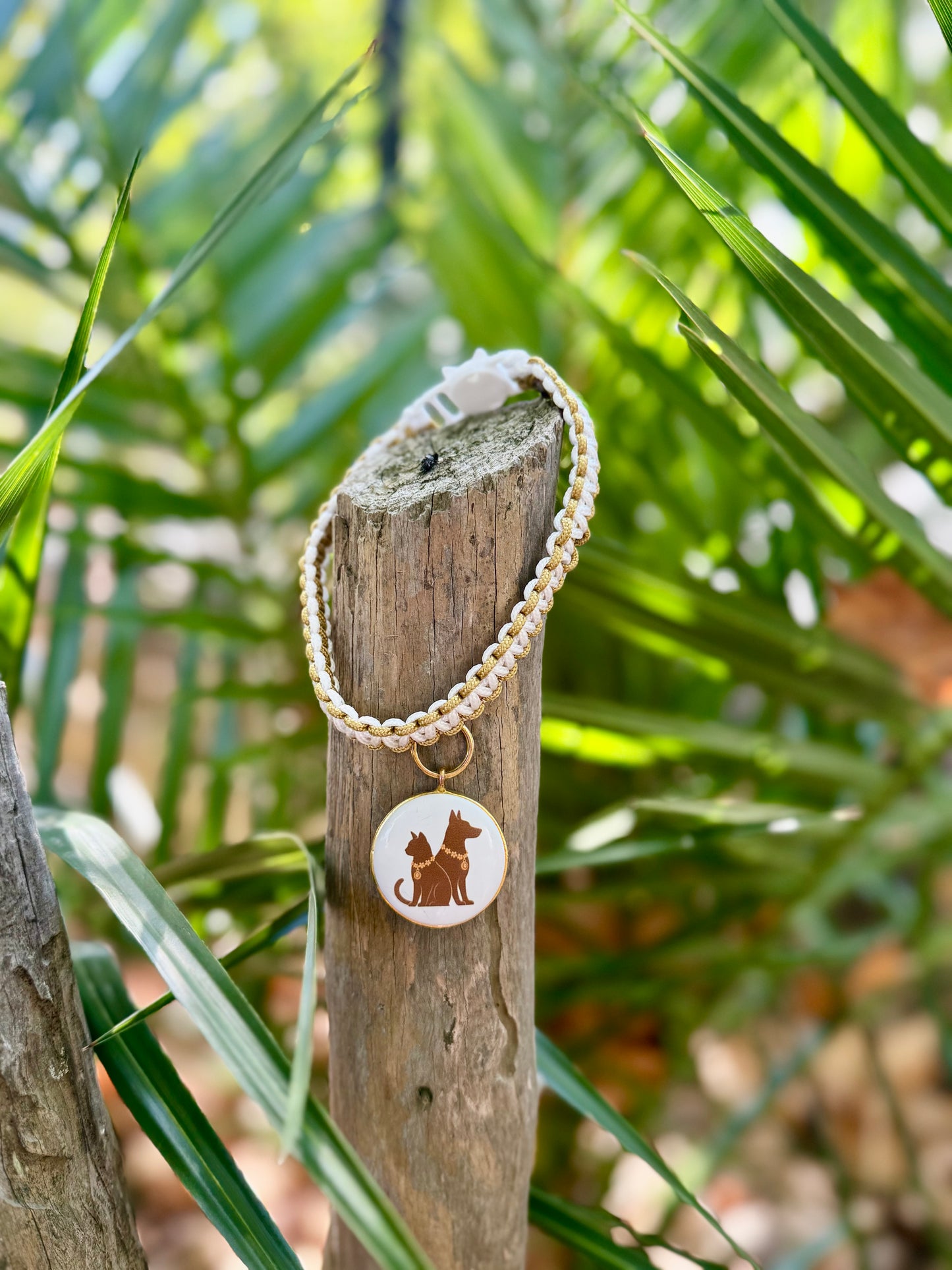 Le collier SIMBA