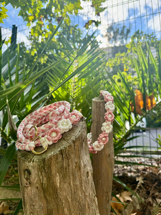 Laisse FLOREA rose et blanc