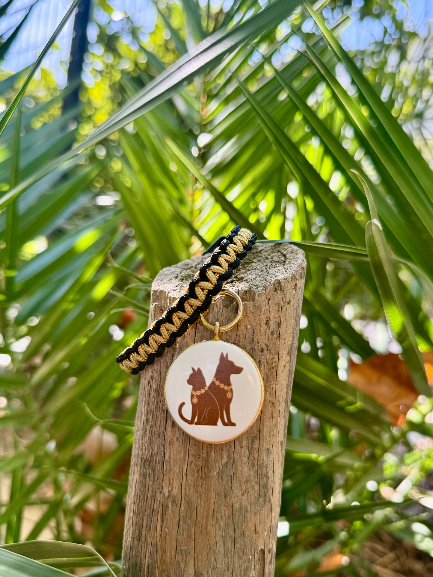 Le collier SIMBA