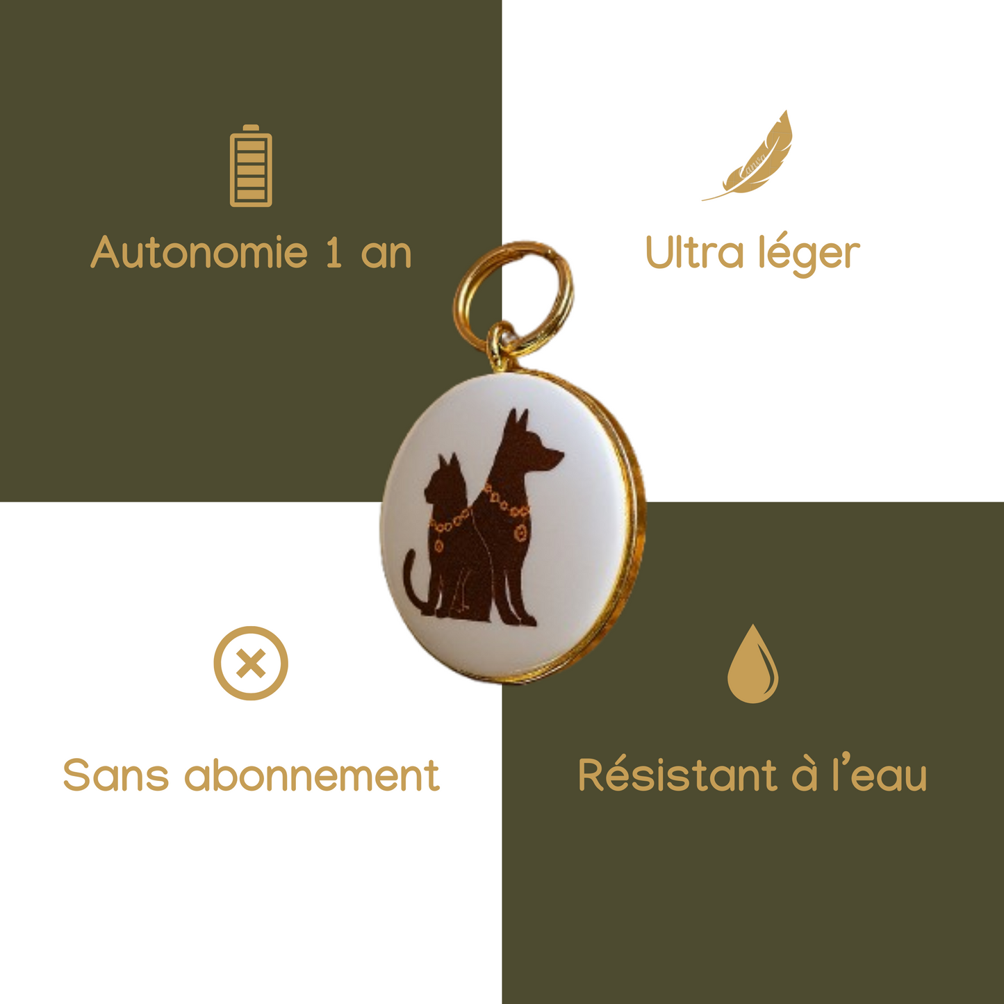 Le collier NOMAD MINI