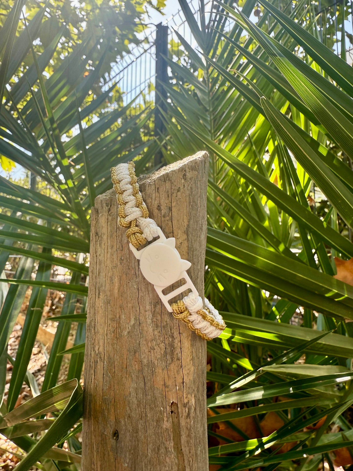 Le collier SIMBA