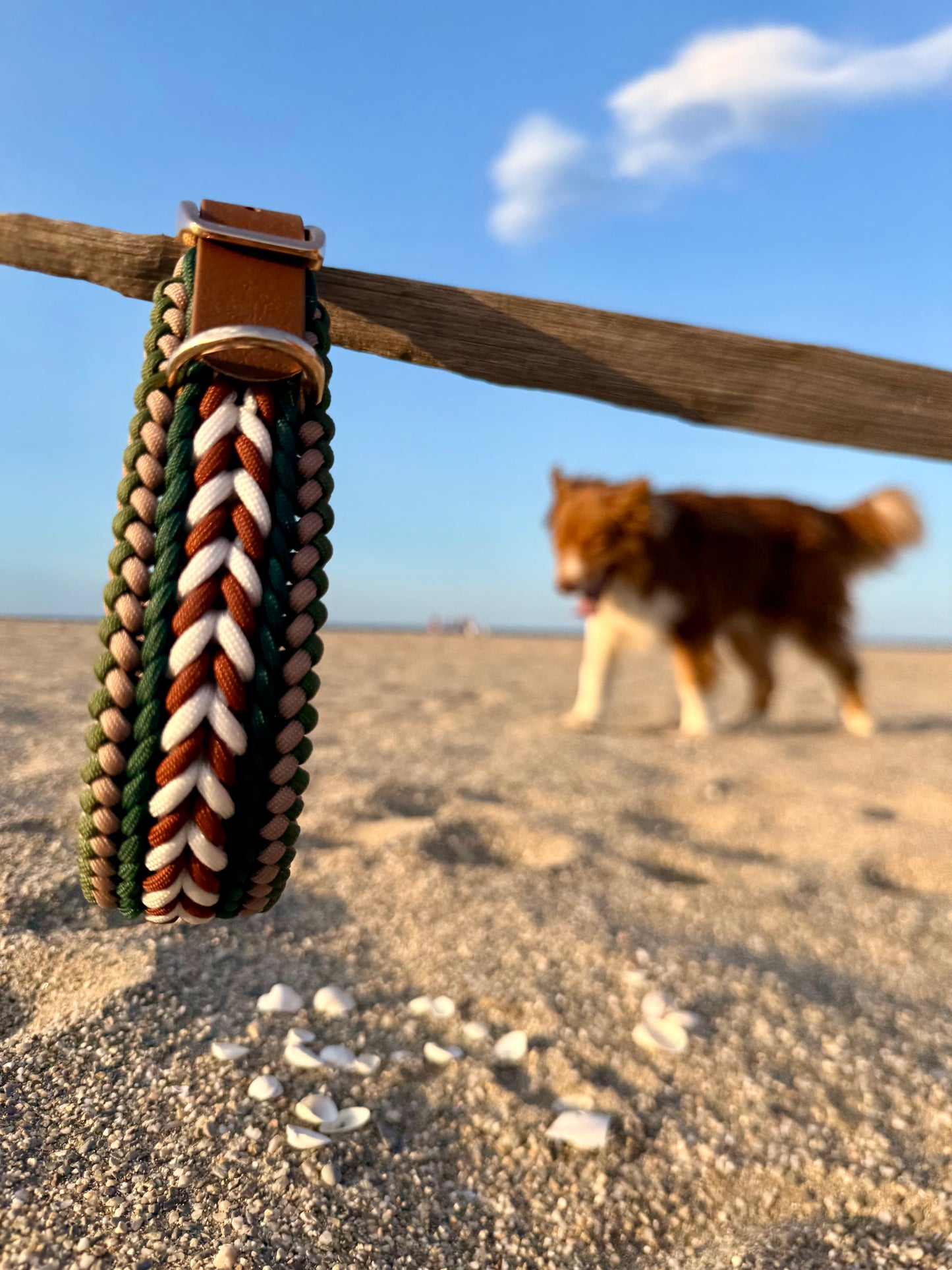 Le collier NOMAD