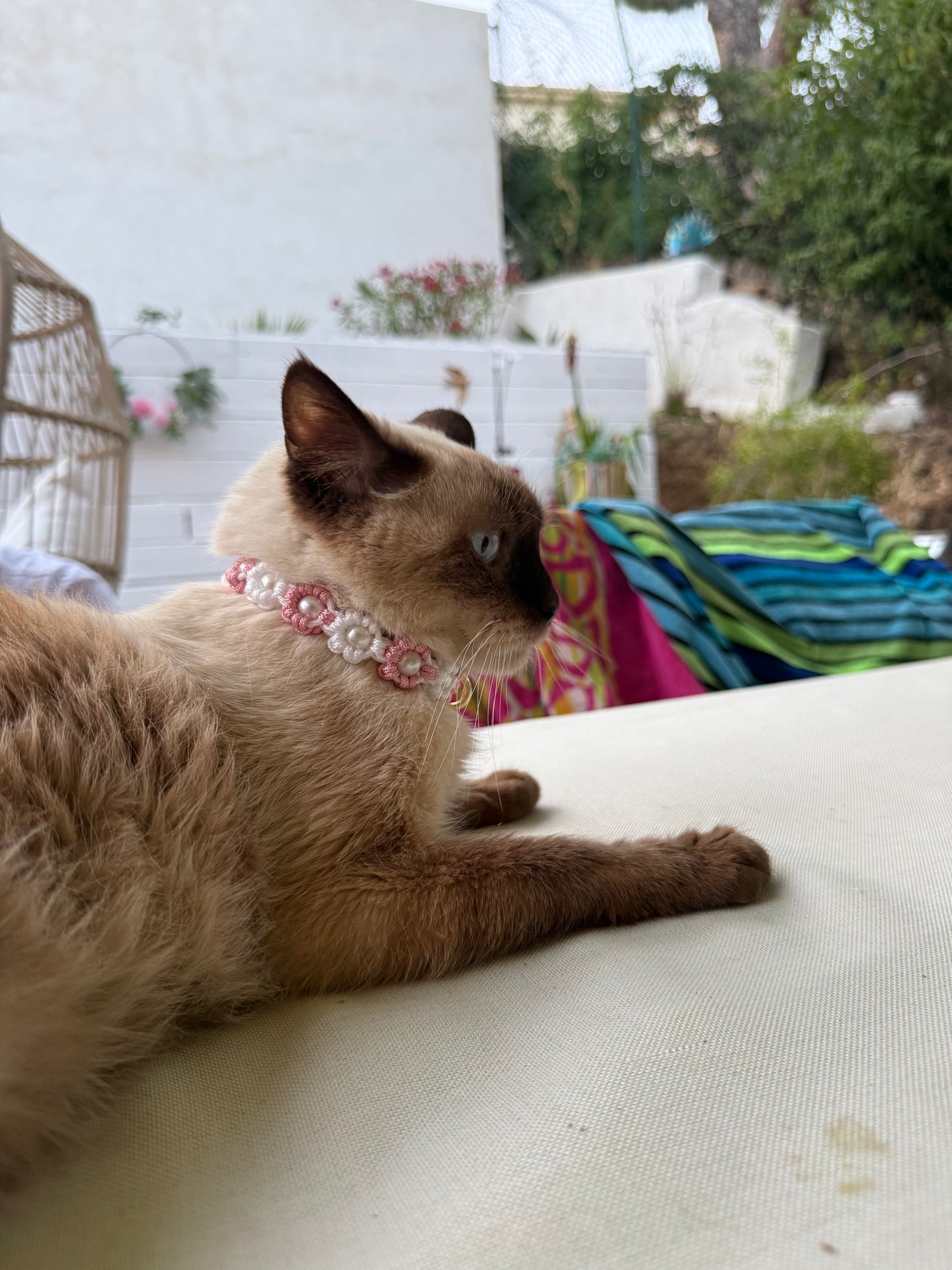 Le collier NÉO