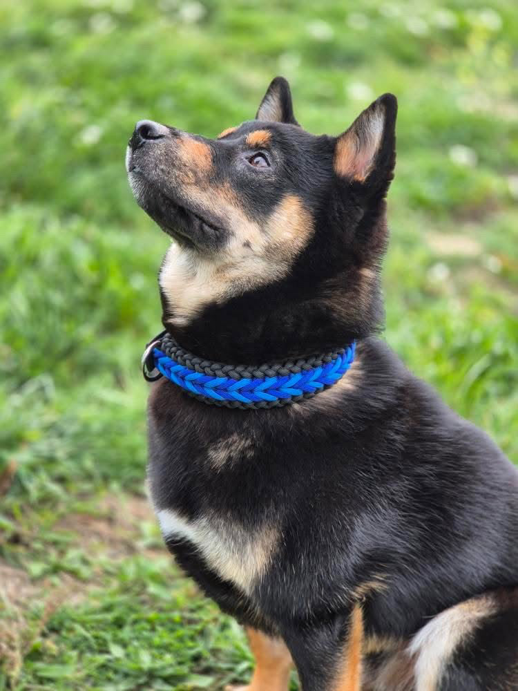 Le Tressé sur-mesure (4 cordes)