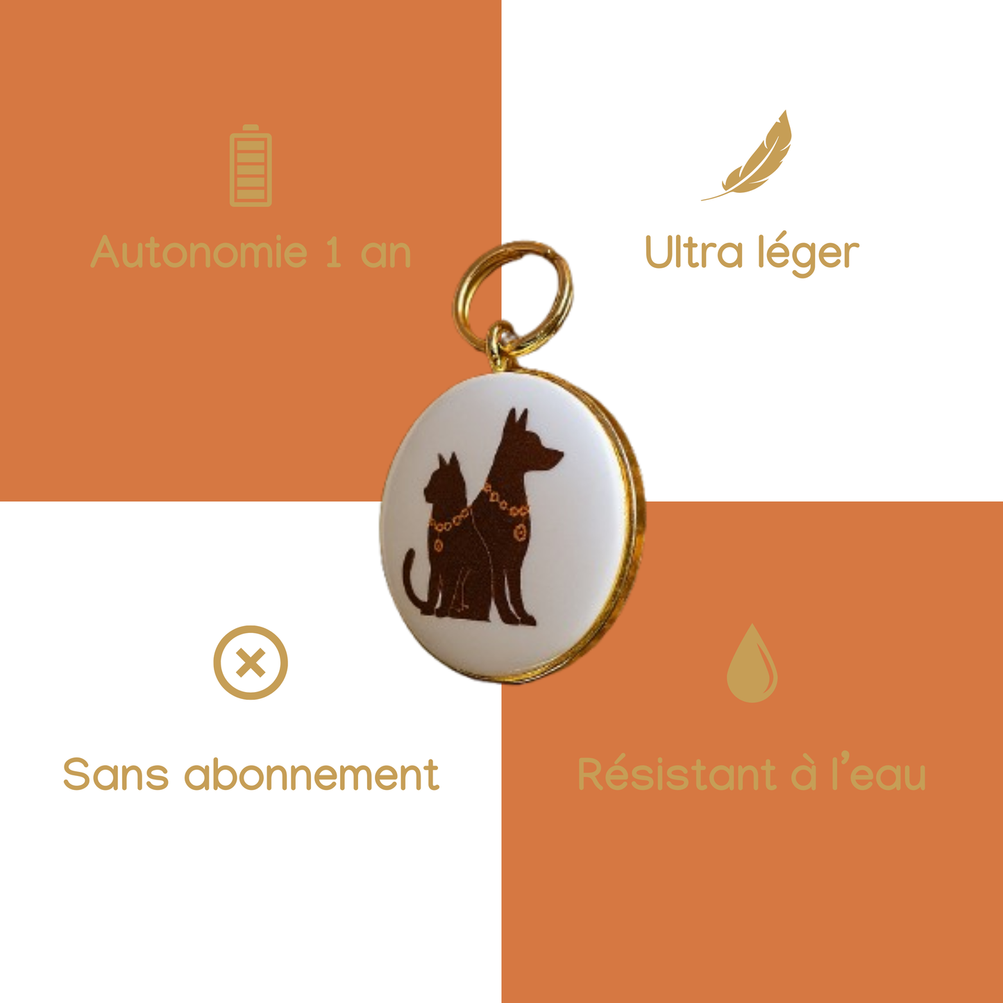 Le collier CORAY