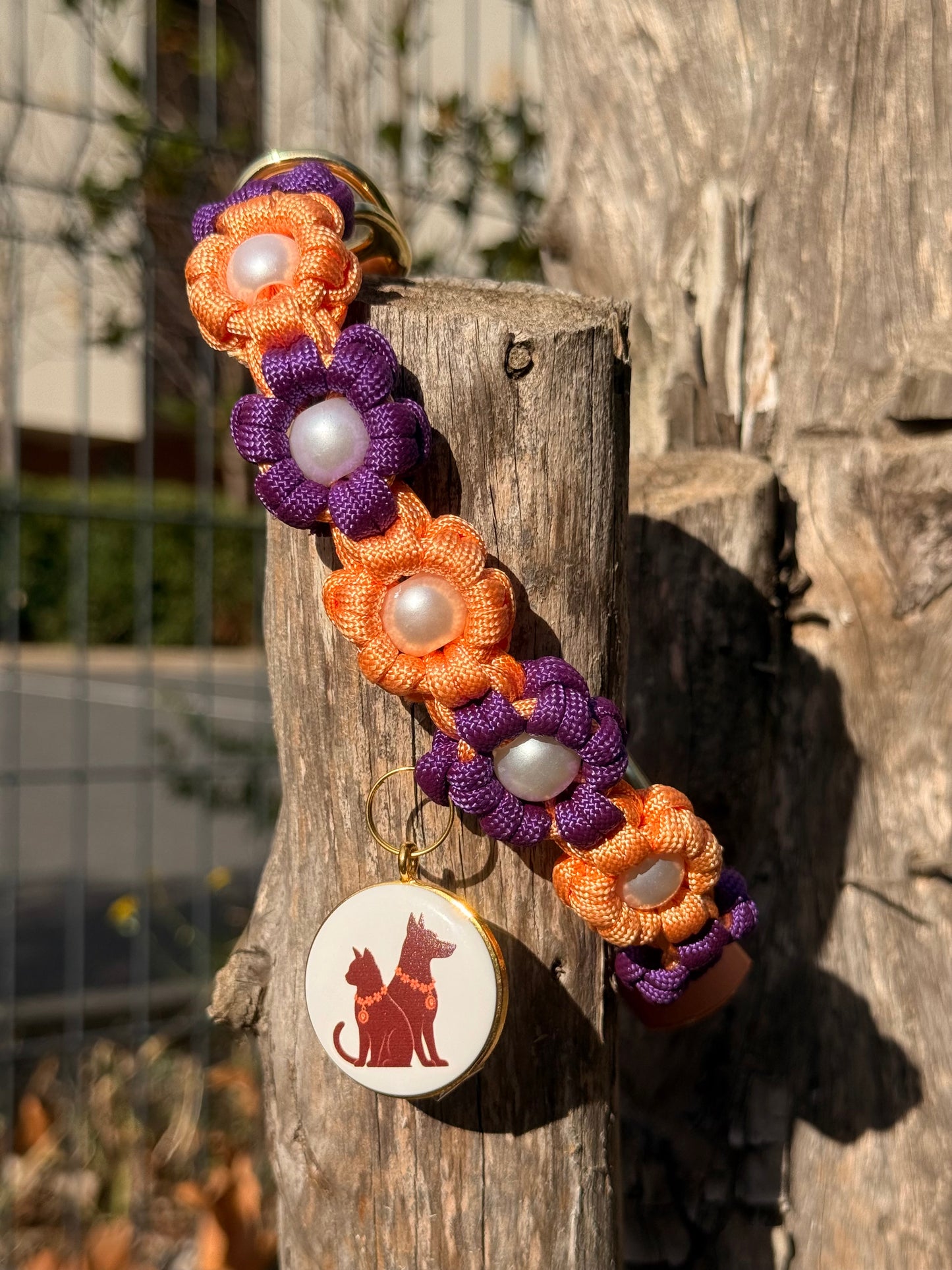 Le collier SOLYSS