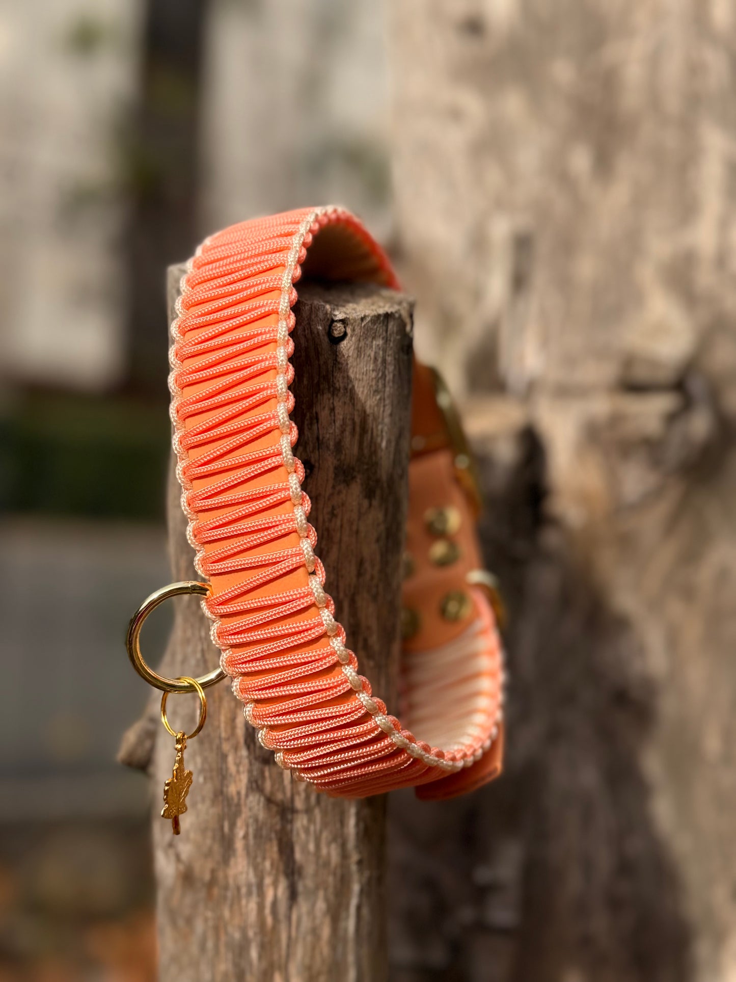 Le collier CORAY