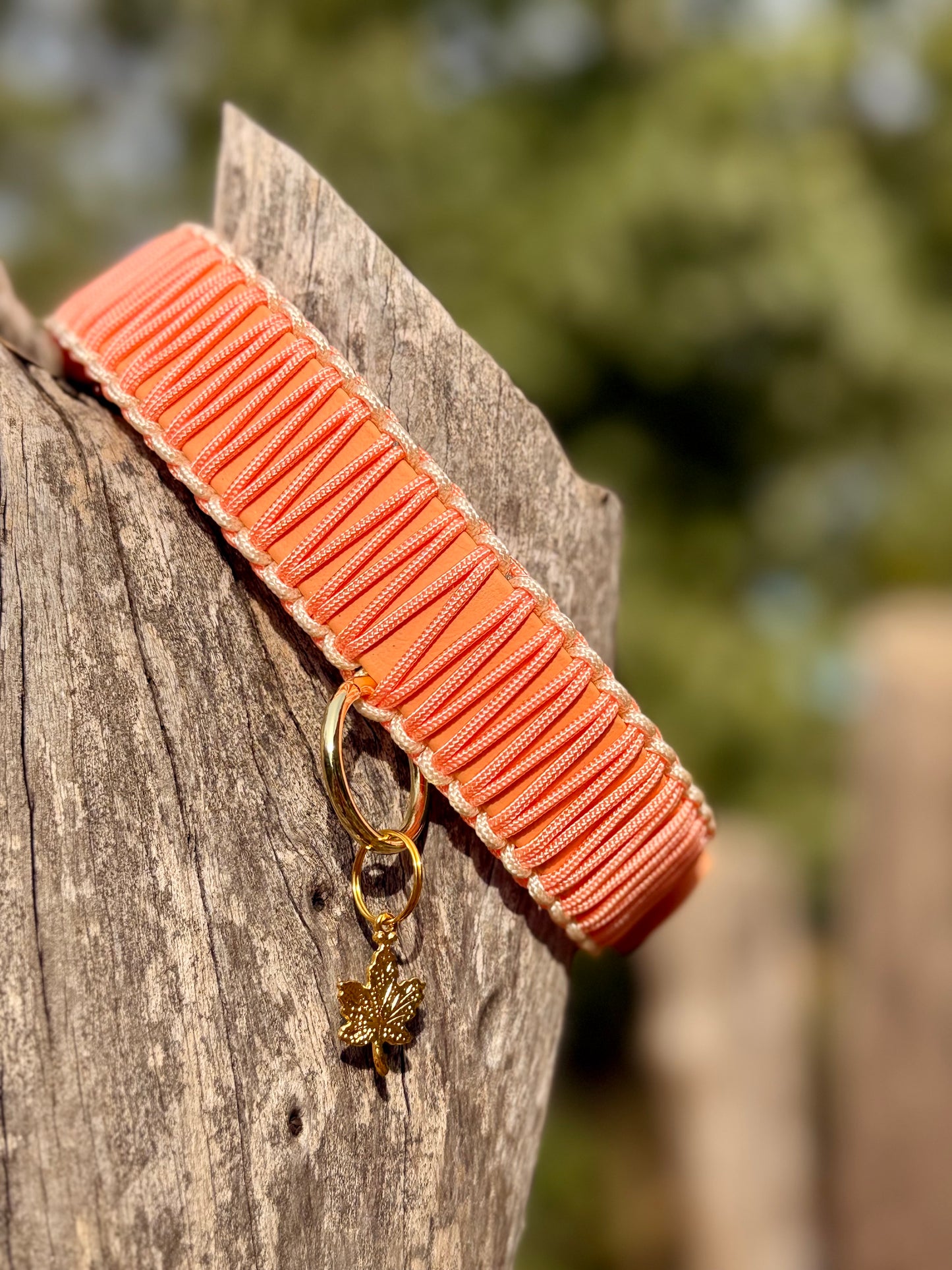 Le collier CORAY