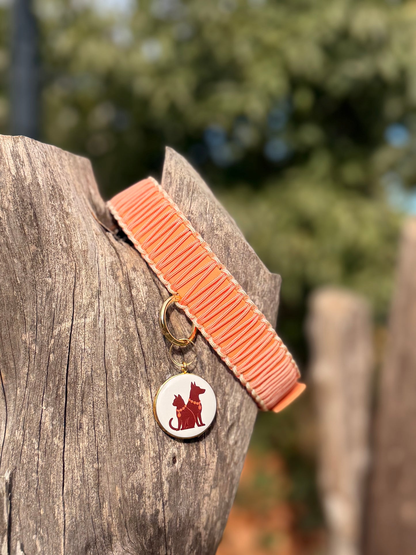 Le collier CORAY