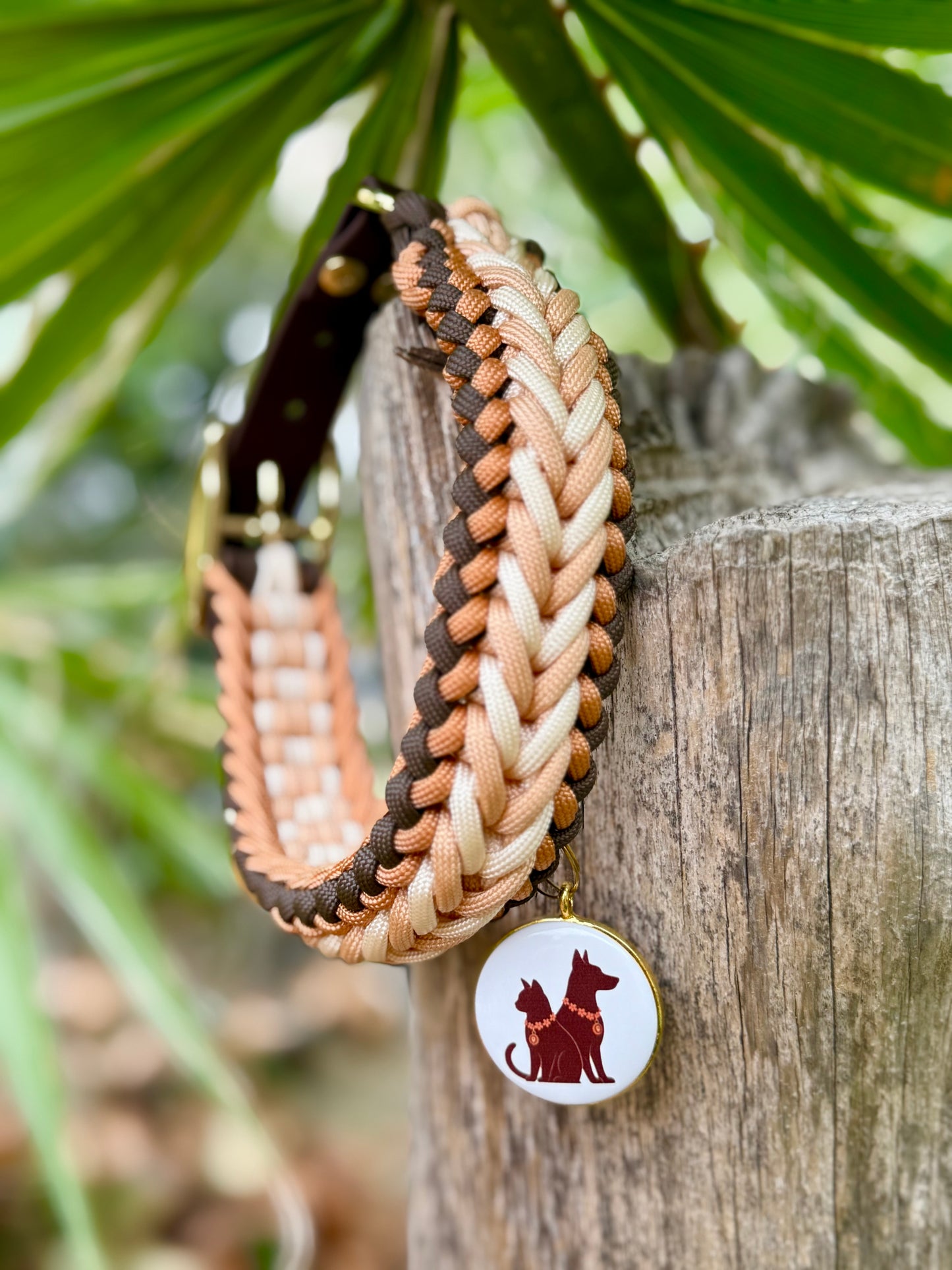 Le collier SIMO
