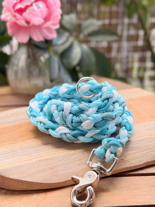 Laisse BLUE