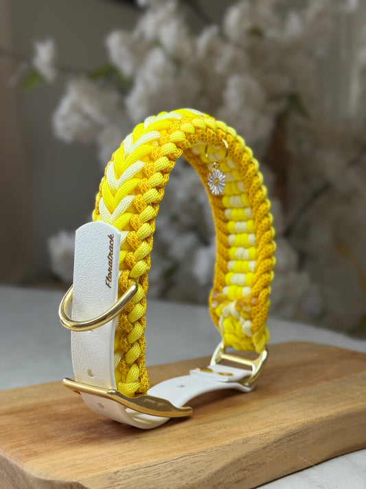 Le collier Sunny 🌞