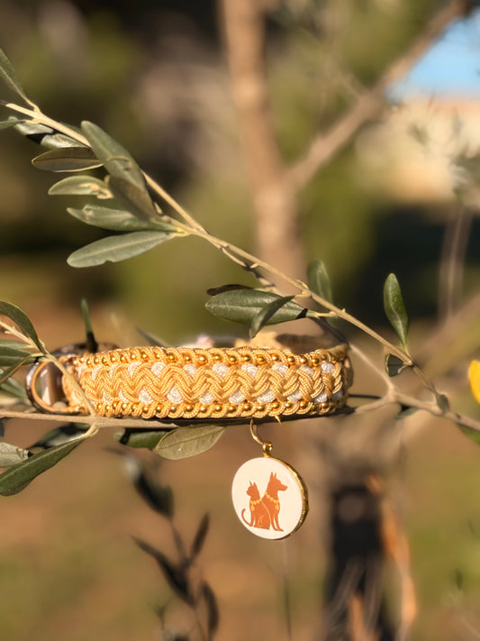 Le collier Gold MINI