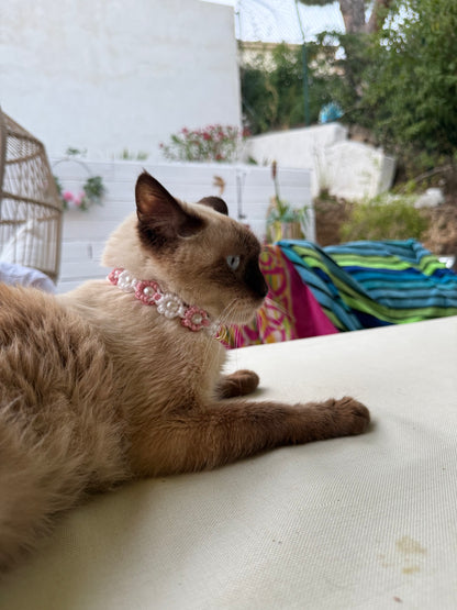 Le collier NÉO