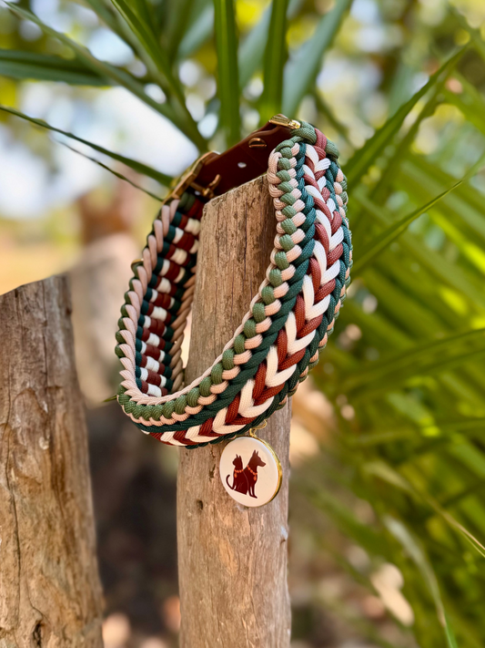 Le collier NOMAD