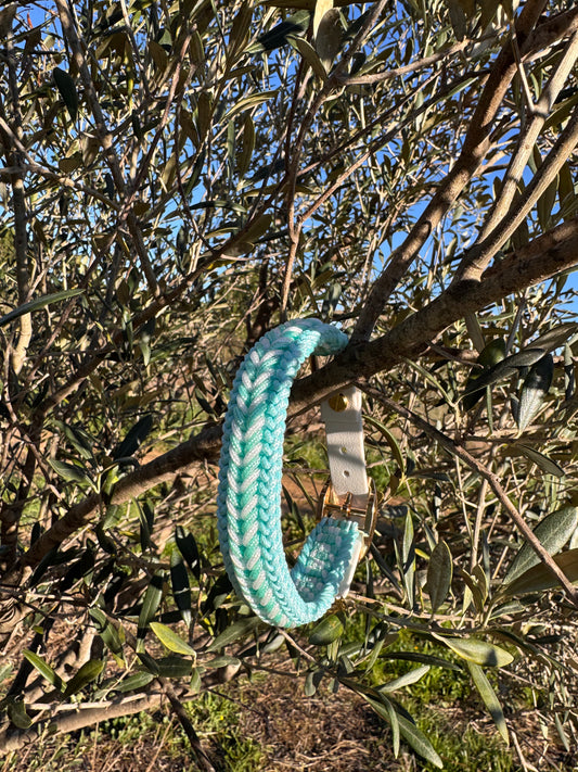 Le collier Bluesky MINI