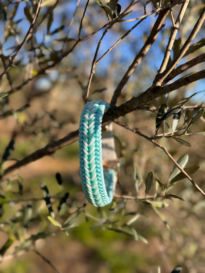 Le collier Bluesky MINI