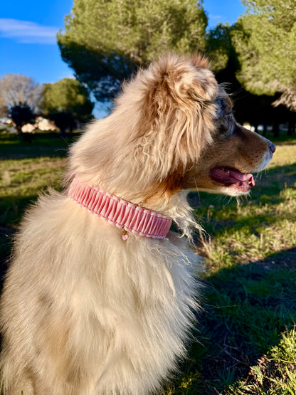 Le collier Alma